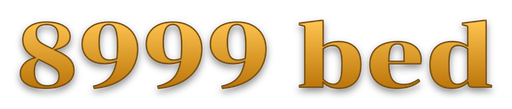 8999 bed Logo